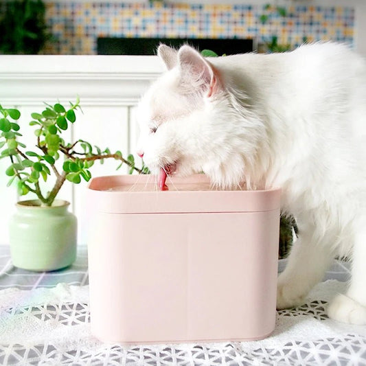Automatic Electric Mute USB Cat Water Fountain Dog Pet Drinker Feeder Bowl with Filter Radar Induction Water Dispenser - PawFlow